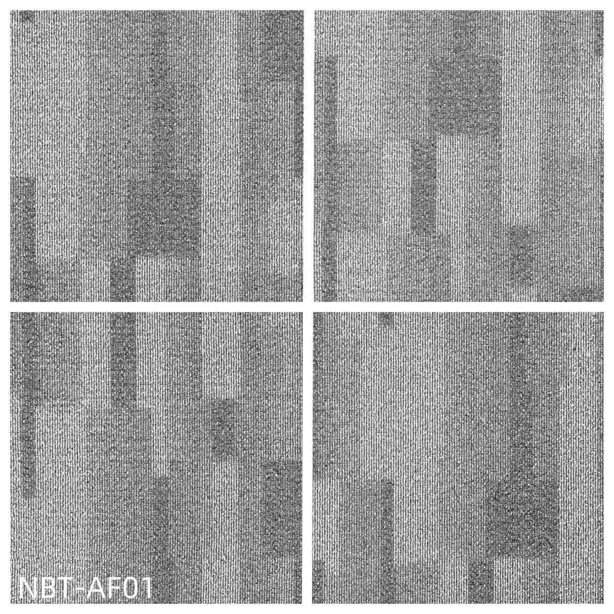 NBT-AF