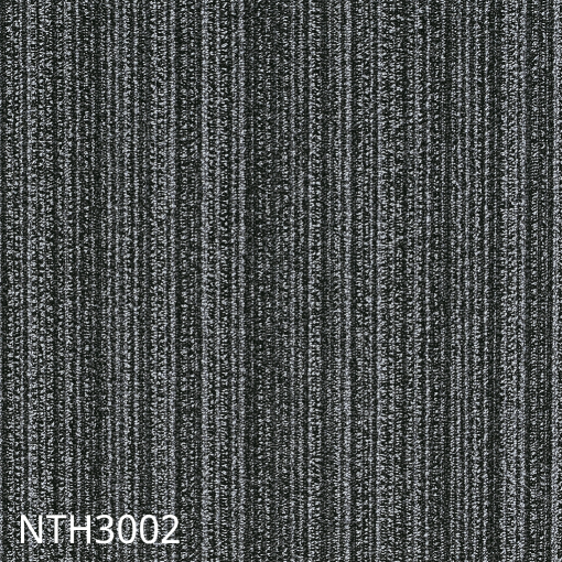 NTH300